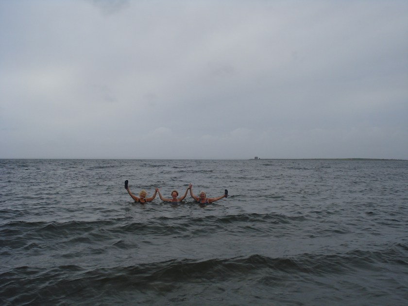 DSC00510